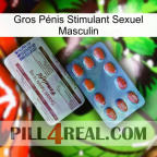 Gros Pénis Stimulant Sexuel Masculin 36